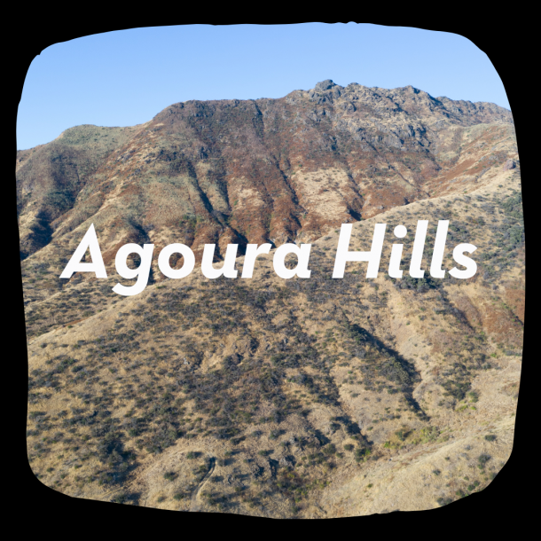 Agoura Hills 